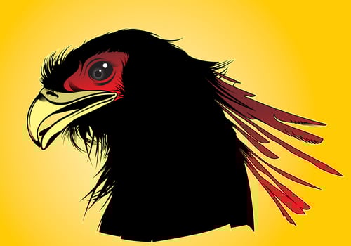 Phoenix head design elemant vector