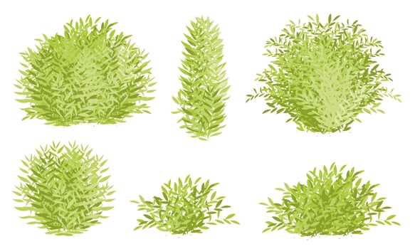 green bush, tree bush isolated on white background vector