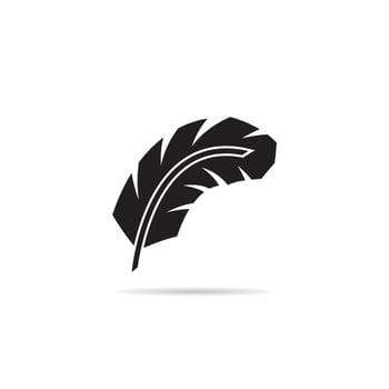 black feather vector illustration
