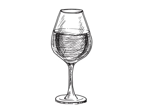Wine glasses sketch vector illustration. Hand drawn label design elements.