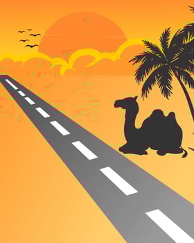 vector illustration of straight road to clouds and sunset with camel and coconut tree silhouette