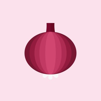onion flat design vector illustration