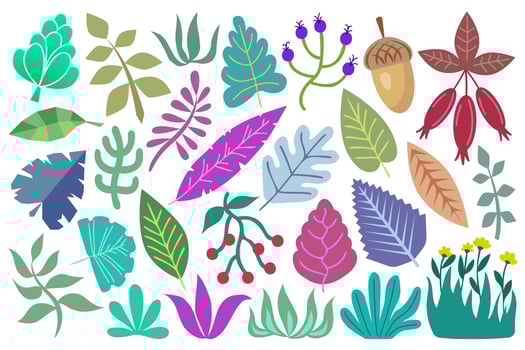 Leaves and plants collection. Botanical set with plant design elements isolated on white background. Colorful stylized leaves, branches, plants, decorative abstract design elements, vector
