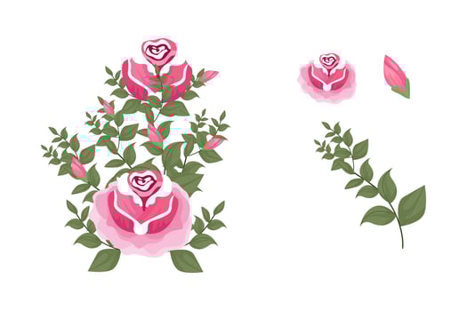 A variety of colorful arrangements of beautiful leaves and flowers vector