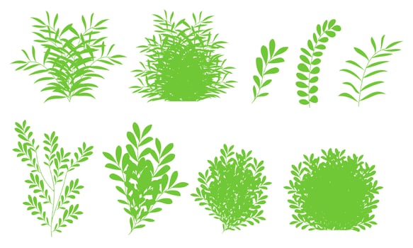 green bush, tree bush set vector