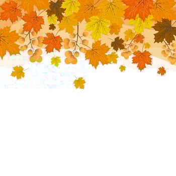 Autumn frame background with leaves golden yellow. fall concept,For wallpaper, postcards, greeting cards, website pages, banners, online sales. Vector illustration