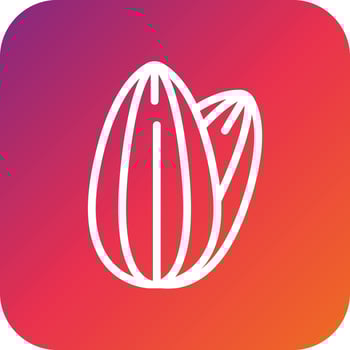 Nut Vector Icon Design Illustration
