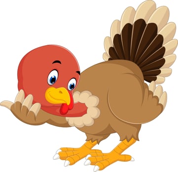 turkey bird cartoon vector
