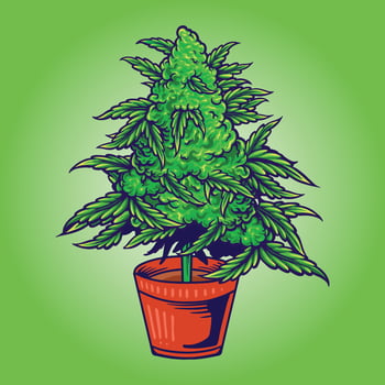 Weed leaf plant with pot Vector illustrations for your work Logo, mascot merchandise t-shirt, stickers and Label designs, poster, greeting cards advertising business company or brands.