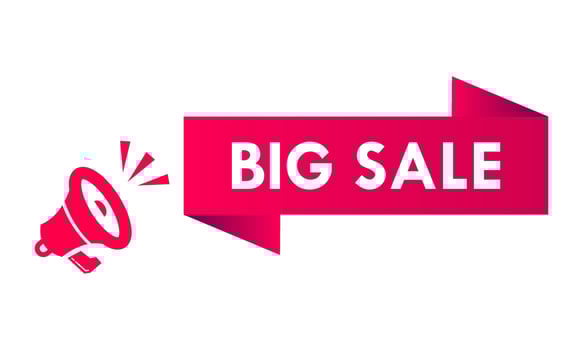 Big sale label for promotion product vector