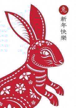 Happy Chinese new year 2023 Zodiac sign, year of the Rabbit vector