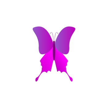 butterfly icon design vector