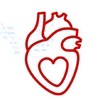 Love hearth vector icon. Health and medical icon
