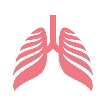 Lungs vector icon. Health and medical icon