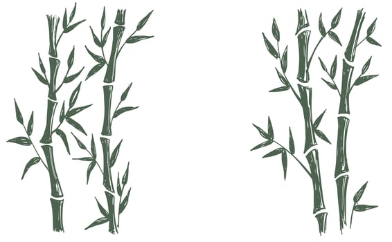 Bamboo tree. Hand drawn style. Vector illustrations.