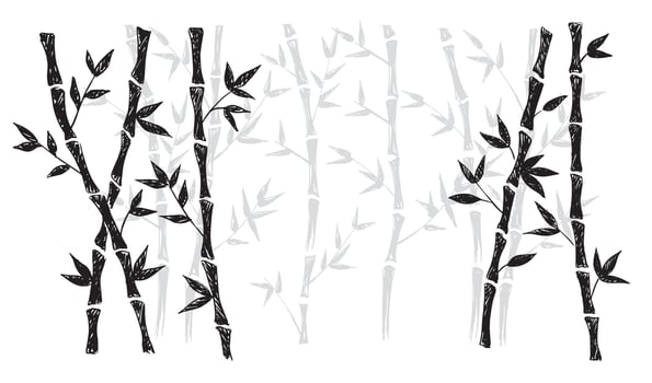 Bamboo tree. Hand drawn style. Vector illustrations.