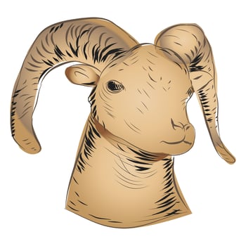 Goat Head Illustration vector