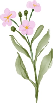 Watercolor leaves with flowers. vector