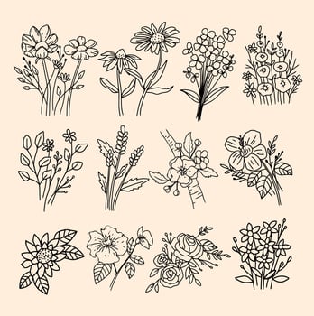 A SET OF HAND DRAWN PLANT vector