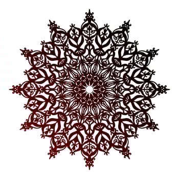 isolated round decorative mandala design element circular ornament vector