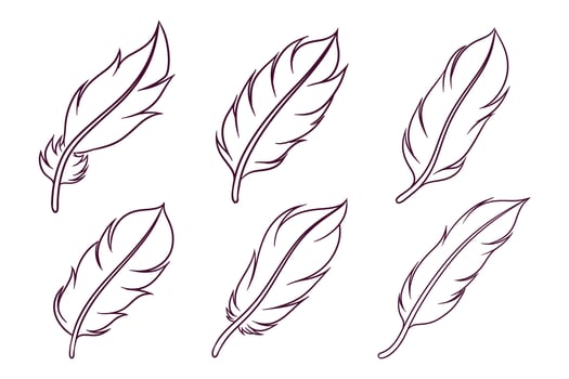 set of hand drawn feather illustration vector