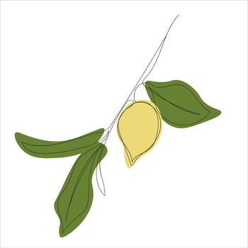 minimalistic lemon branch line art vector