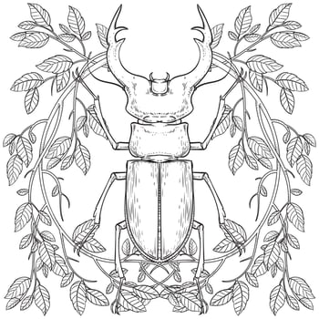 Stag beetle coloring page for children and adults. Beautiful drawings with patterns and small details. Hand drawing vector illustration in black outline on a white background
