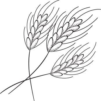 Monochrome vector illustration on a transparent background. Ripe ears of wheat, rye