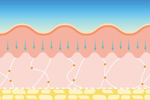 Removing skin wrinkles and anti-aging process vector. Tightening elastic fiber and skin collagen treatment vector. Using body serum to tighten the skin's elastic fiber and remove wrinkles on the skin. vector
