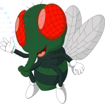cute Fly cartoon vector