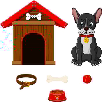 set of dog accessories vector