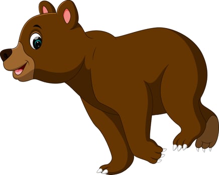 funny bear Cartoon vector