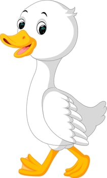 cute duck cartoon vector
