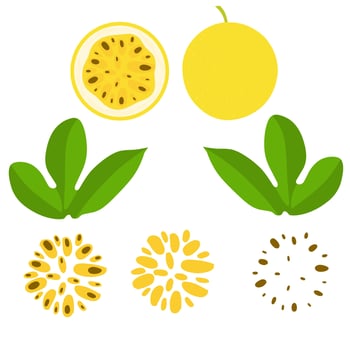 Vector illustration of passion fruit. Passion fruit whole and chunks. Ripe yellow with leaves and seeds. Isolated on a white background.