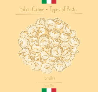 Italian Food ring-shape pasta with meat filling aka Tortellini, sketching illustration in the vintage style vector