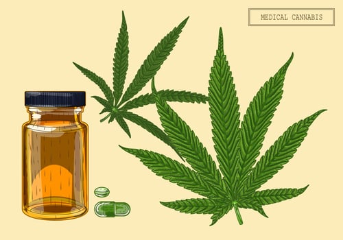 Medical cannabis marijuana two leaves and vial, hand drawn illustration in a retro style vector