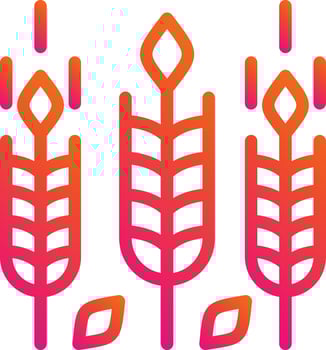 Wheat Vector Icon