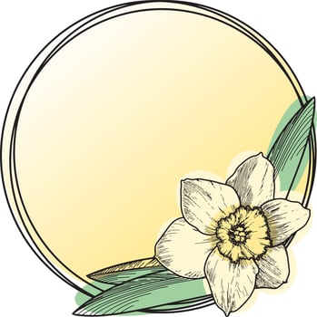 Vector illustration. A round card with an empty space for insertion. Delicate narcissus flower with leaves