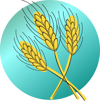 Decorative golden ears in a circle. Vector illustration on a transparent background