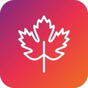 Maple Vector Icon