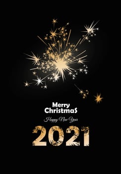 Merry Christmas special offer and SALE promotion vector