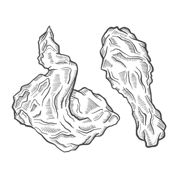 fried chicken fast food single isolated hand drawn sketch with outline style vector