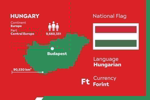 Hungary Infographic Map vector
