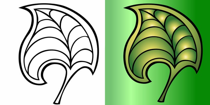 Vector illustration. Set of two decorative leaves in black and white and color