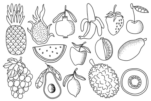 fresh fruit doodle vector set. vector illustration