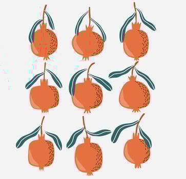Set of pomegranate with green leaf vector