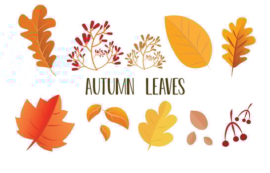 Autumn leaves set, isolated on white background. Leaves with fade texture, vector illustration. Good for social media, promotional materials, ads, email marketing.