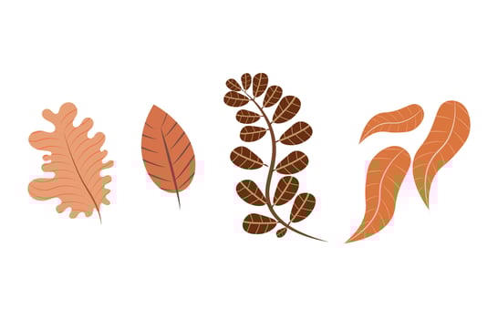 Autumn leaves set, isolated on white background. Leaves with fade texture, vector illustration. Good for social media, promotional materials, ads, email marketing.