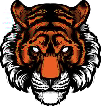 Tiger head vector illustration isolated on white background