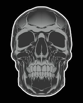 Evil skull with scar illustration vector
